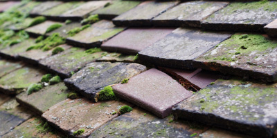 Flitton roof repair costs